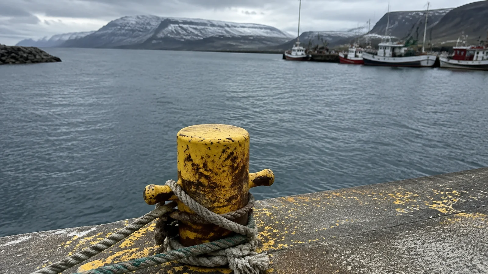 Yellow mooring bollard and rope on a weathered harbor quay.