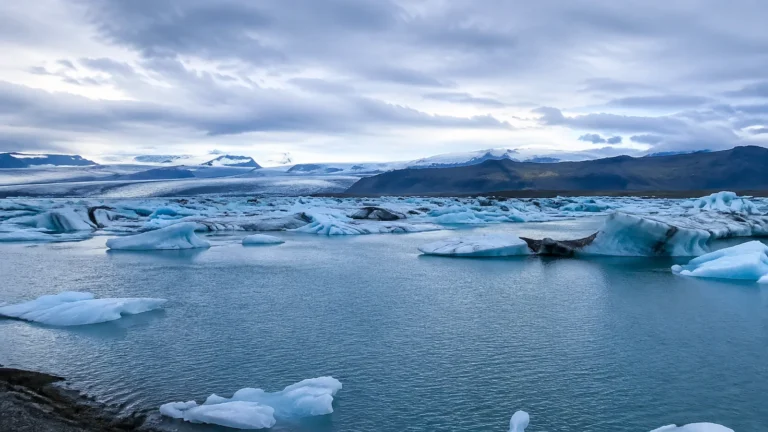 Blue icebergs float across a lagoon beneath distant glacier-covered mountains.
