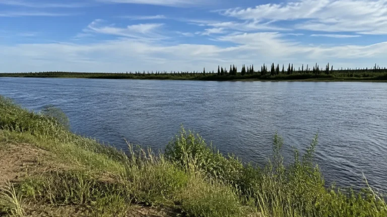 Broad river bordered by low grass and a distant line of trees.