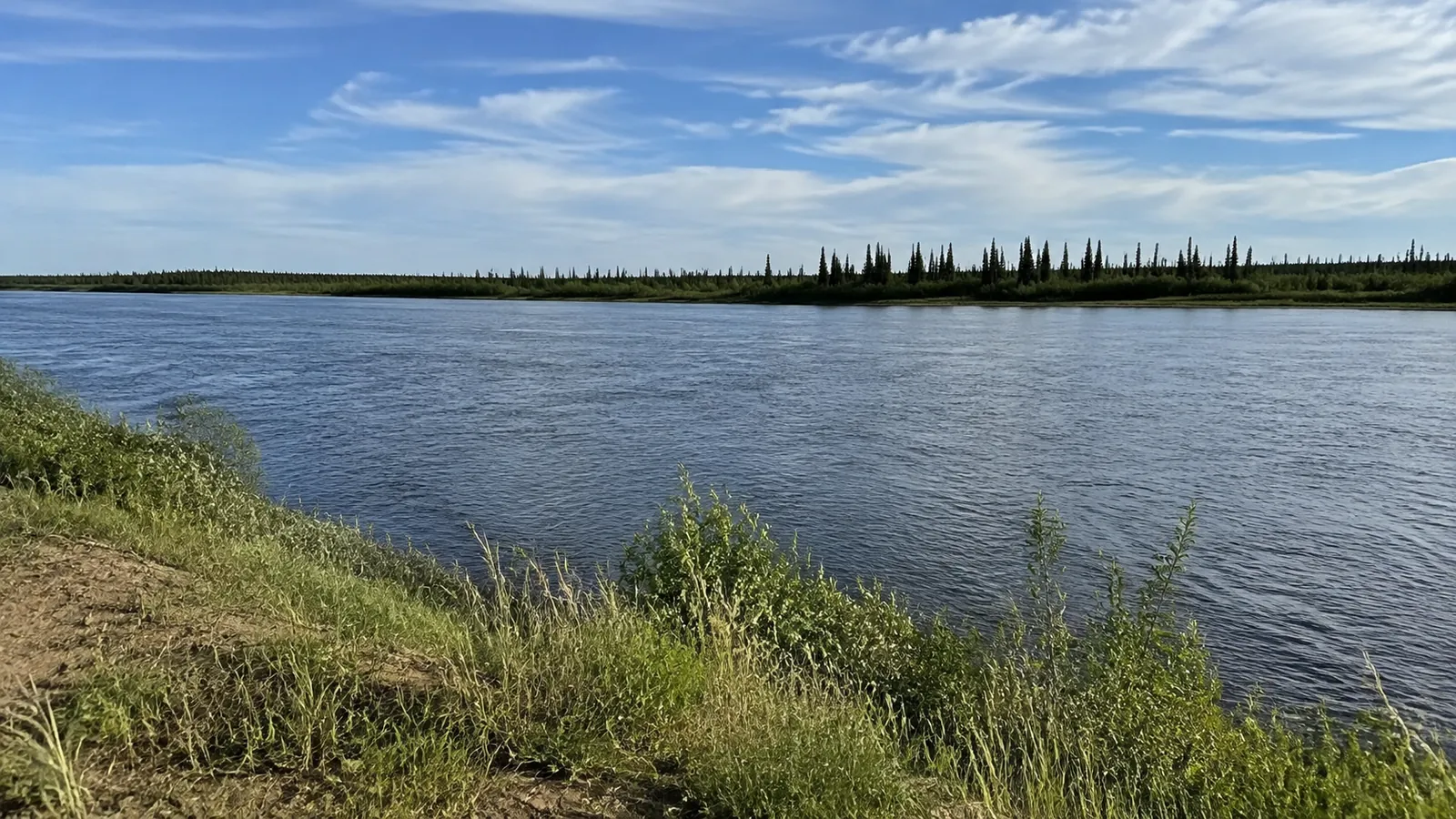 Broad river bordered by low grass and a distant line of trees.