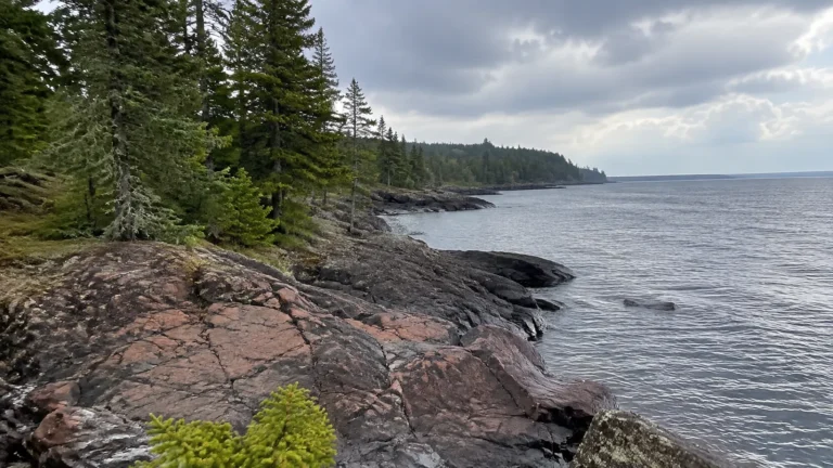 Rocky shoreline lined with evergreen trees beneath a cloudy sky.