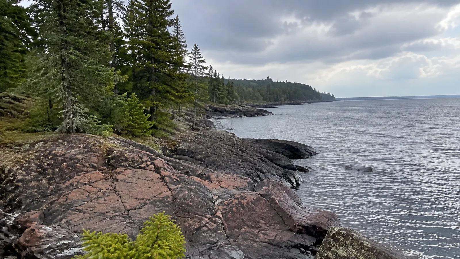 Rocky shoreline lined with evergreen trees beneath a cloudy sky.