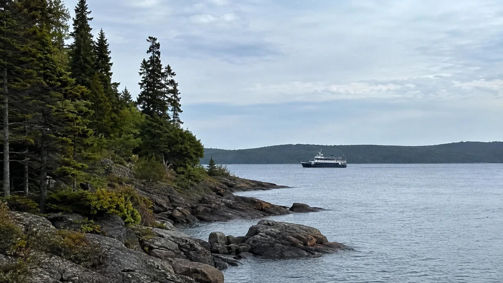 Passenger boat offshore beyond an evergreen-lined rocky coastline.