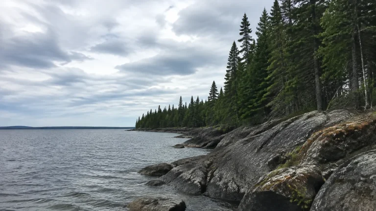 Rocky shoreline and evergreen forest beside a lake