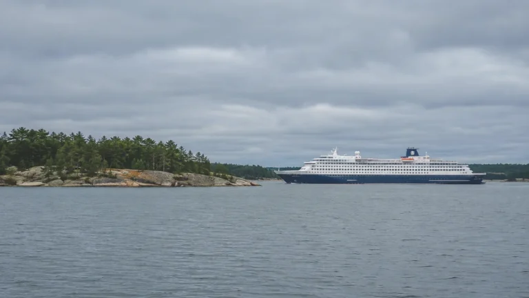 Cruise ship passing a low wooded island beneath a cloudy sky.