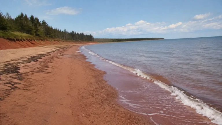 Gentle waves wash a red sand shoreline bordered by trees.