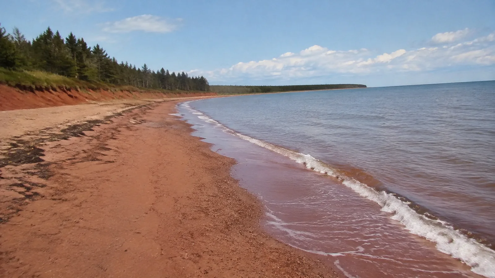 Gentle waves wash a red sand shoreline bordered by trees.