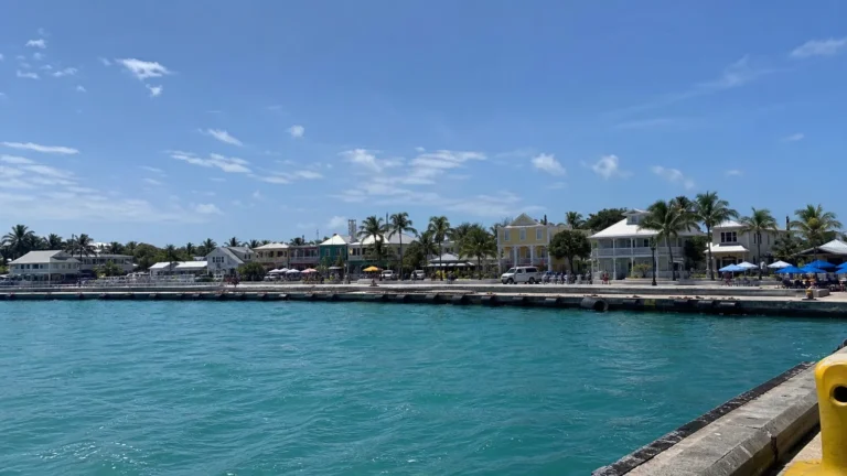 Tropical waterfront buildings and palm trees beside turquoise harbor water