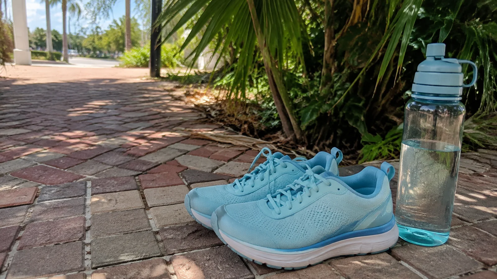 Blue walking shoes and a reusable water bottle beside a palm-lined brick path