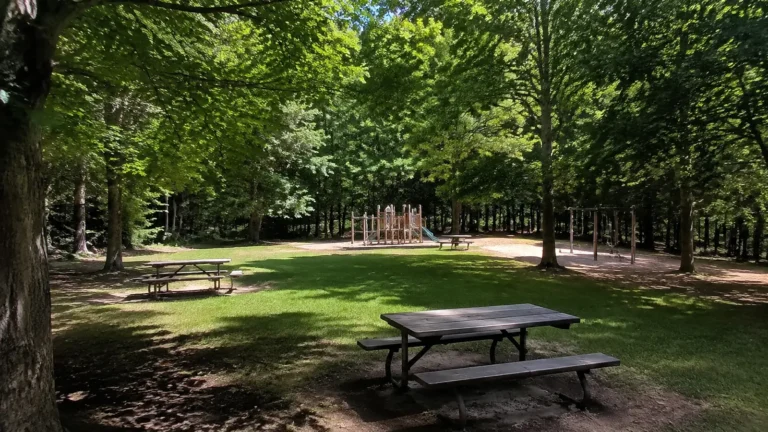 Picnic tables and a playground in a grassy clearing surrounded by trees.