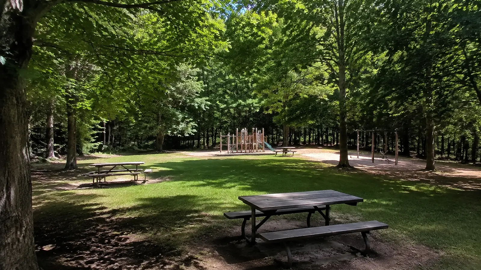 Picnic tables and a playground in a grassy clearing surrounded by trees.