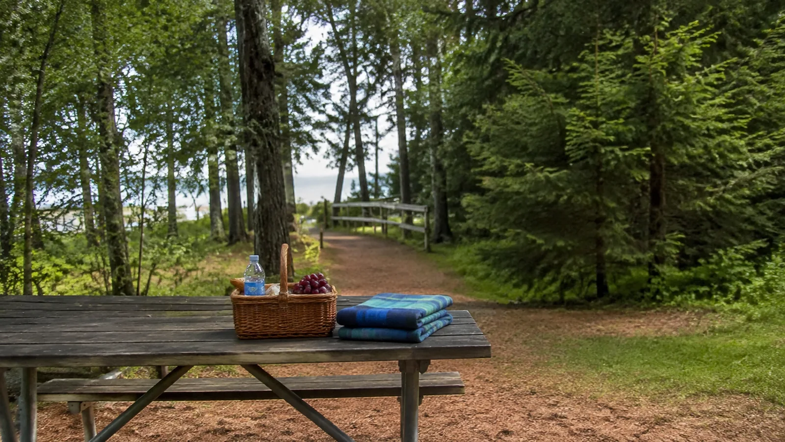 Picnic basket and folded towels on a table beside a forest path.