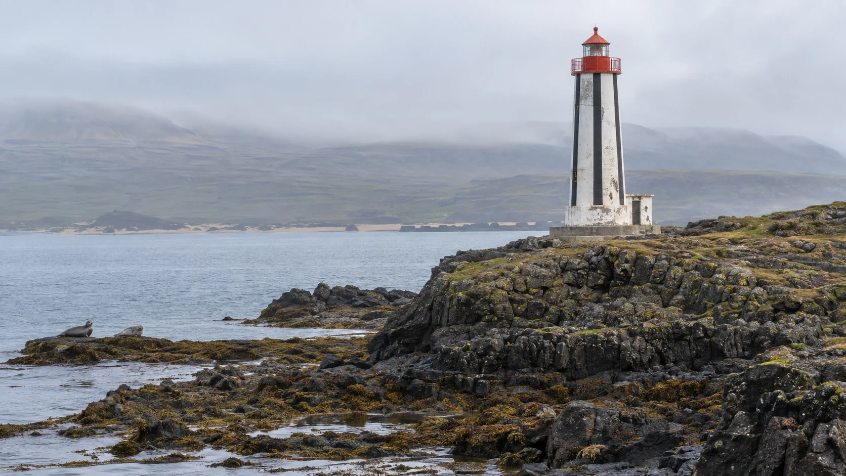 Black-striped Kópasker Lighthouse on a rocky North Iceland headland with two distant seals.