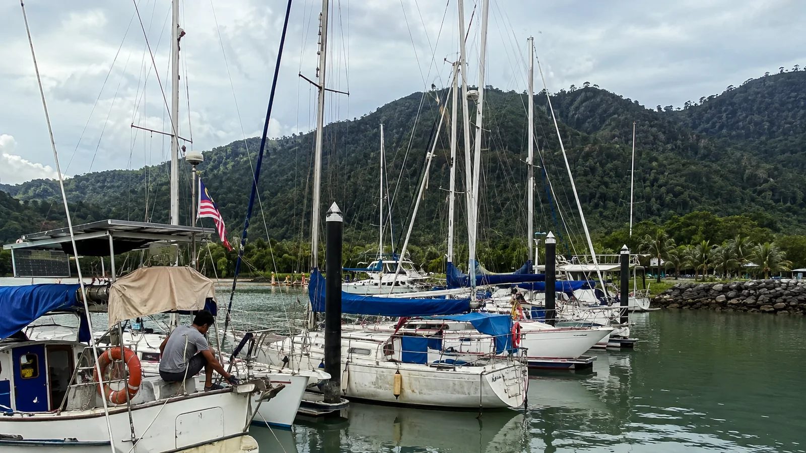 Sailboats moored in a marina below forested hills.