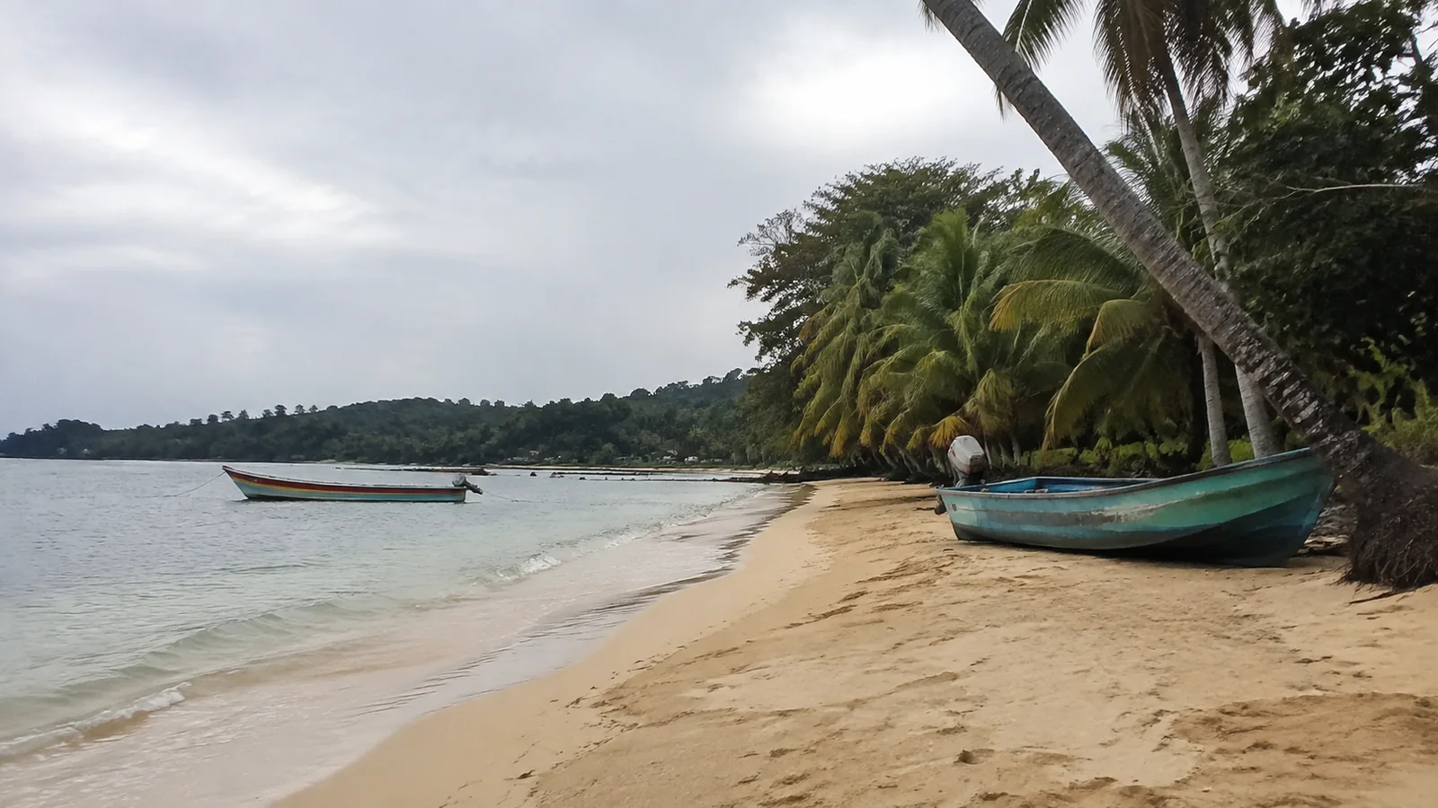 Quiet sandy beach with palms and small wooden boats.
