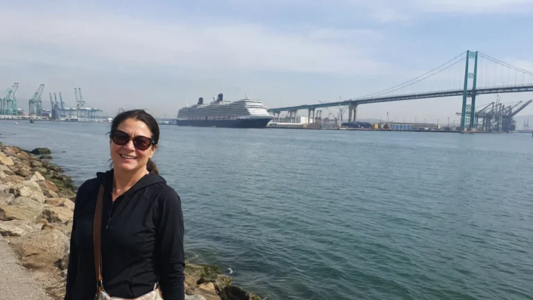 Traveler beside the harbor with a cruise ship and suspension bridge in the distance.
