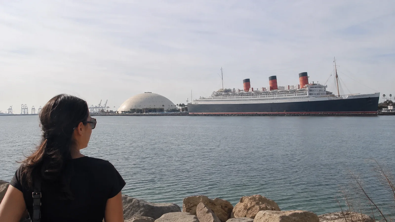 Visitor looking across Long Beach harbor toward the historic Queen Mary.