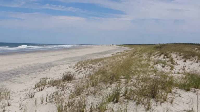 Long empty beach bordered by grassy dunes under an overcast sky.