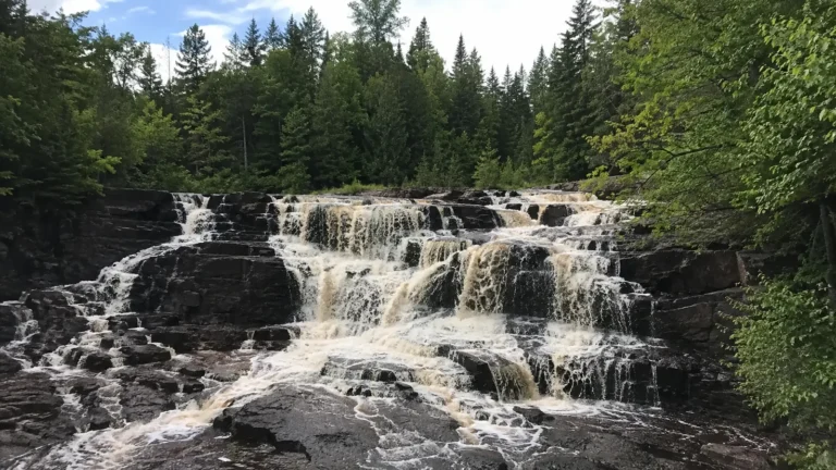 Water cascading over broad dark rock ledges surrounded by forest.
