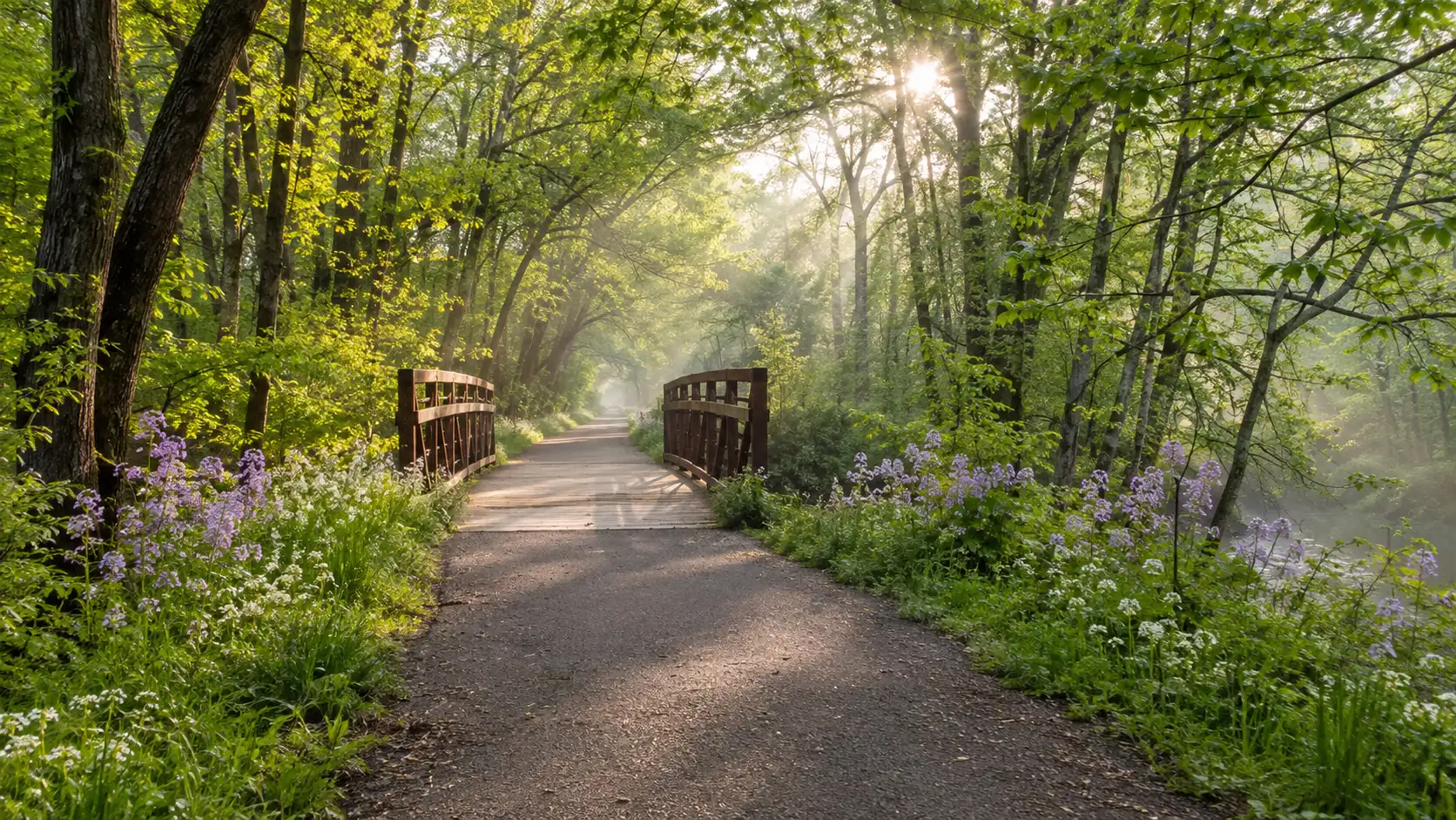 A wooded bridge and wildflowers along the Badger State Trail near Monroe.