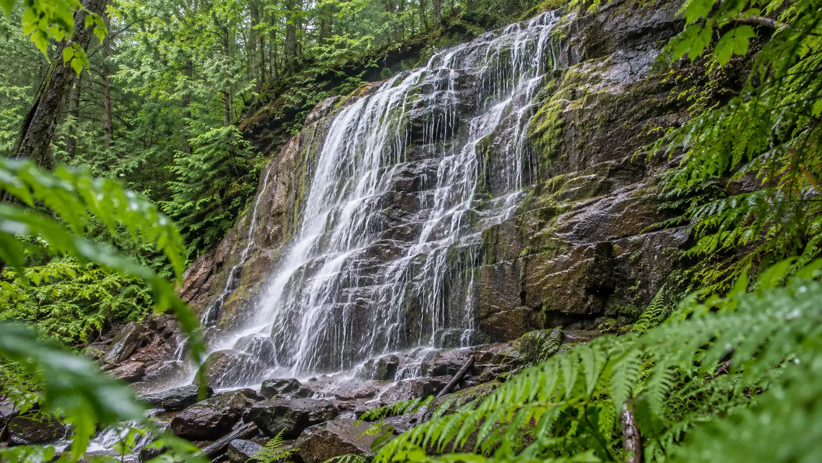 Morgan Falls fans down a tall slanted rock face surrounded by lush forest.