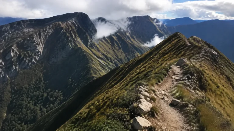 Narrow hiking trail along a green mountain ridge