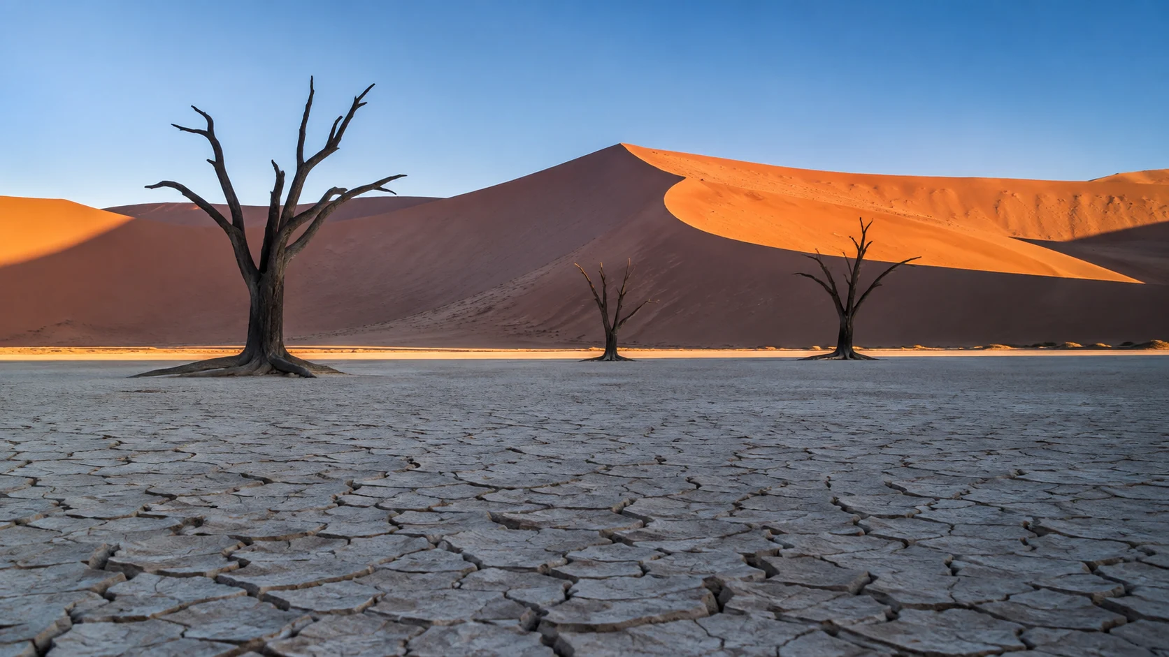 Black camel-thorn trees stand on cracked Deadvlei beneath red dunes in Namib-Naukluft National Park.