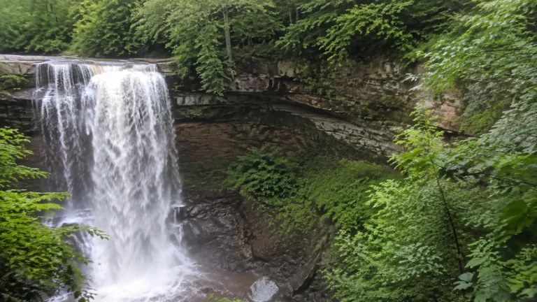 Broad waterfall pours over layered rock surrounded by green forest.