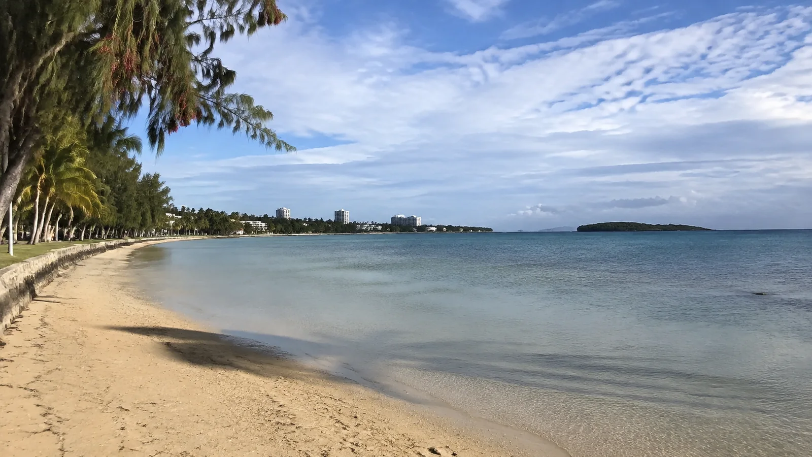 Sheltered sandy beach lined with palms.