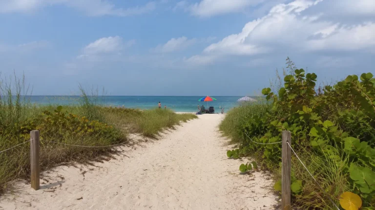 Sandy path through beach dunes leading to turquoise water