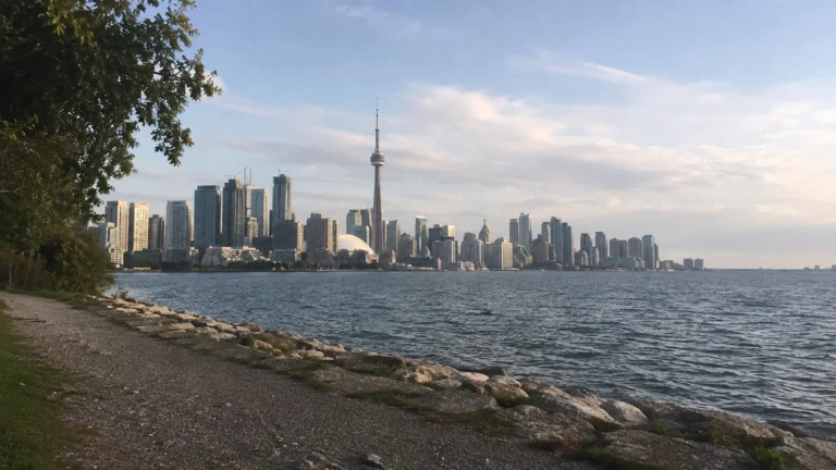 City skyline with a tall observation tower viewed across choppy water.