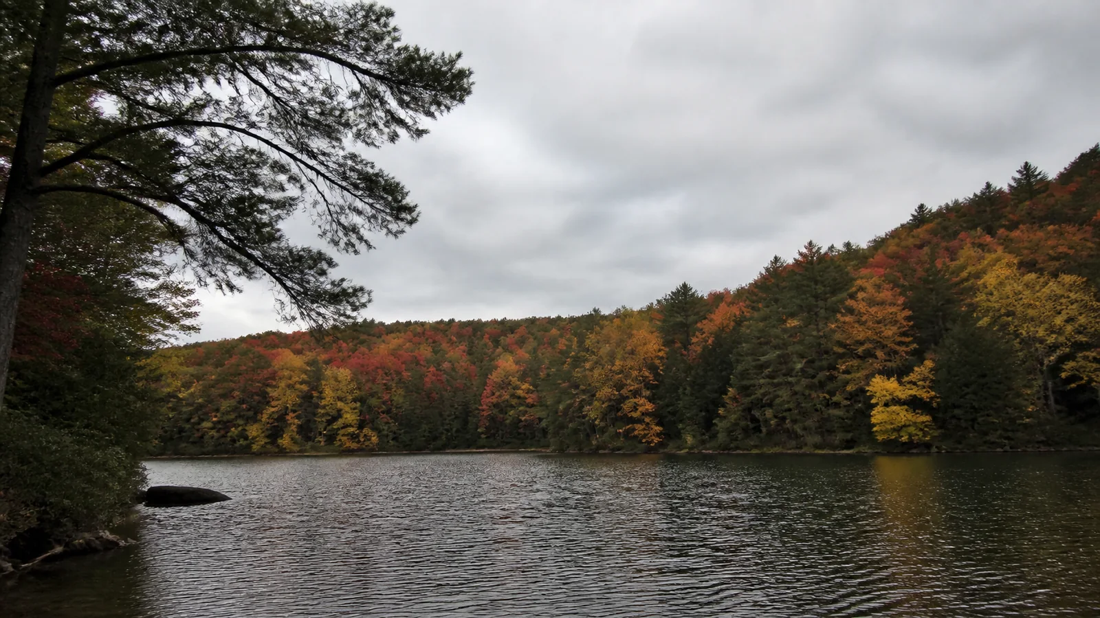 Autumn-colored trees surround a calm lake beneath gray clouds.