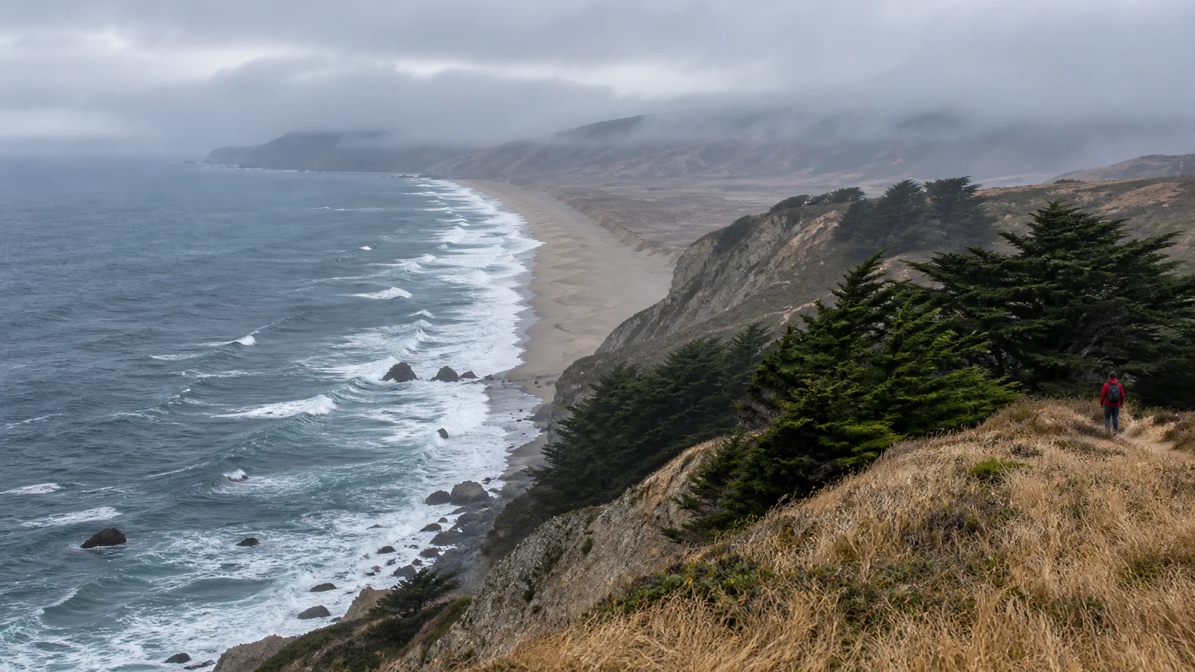 Lone hiker above the windswept Point Reyes coast beneath low marine fog.