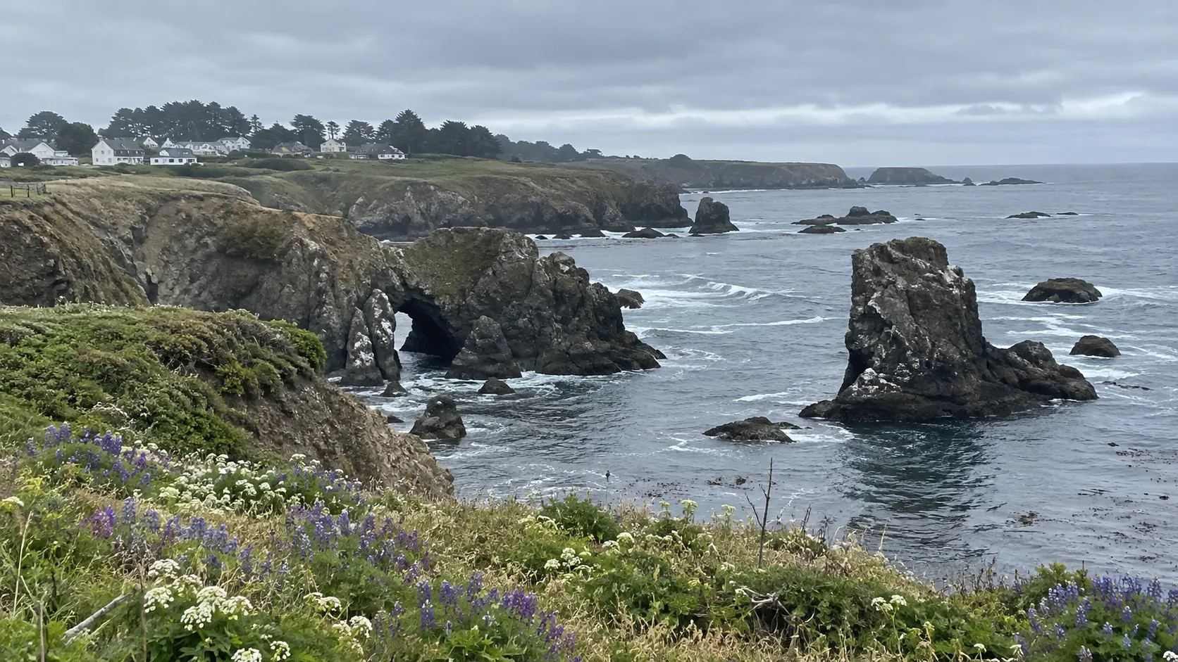 Sea arches and offshore rock stacks along the flower-covered Mendocino Headlands.