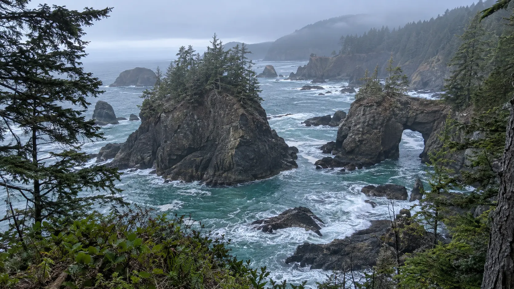 Pine-covered sea stacks and a natural rock arch along the Southern Oregon Coast.