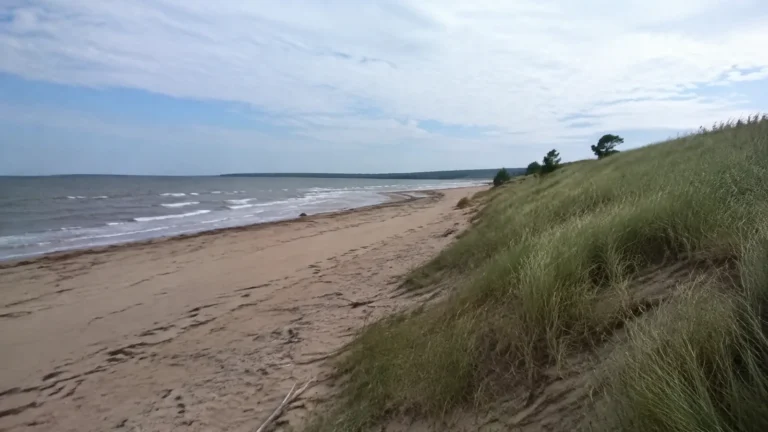 Long sandy beach beneath grassy dunes and a cloudy sky.