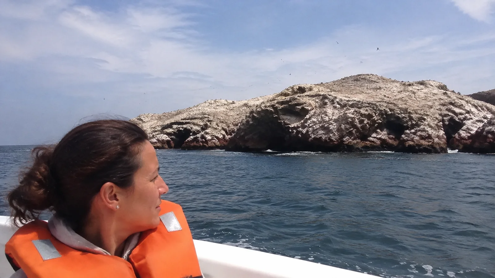 Boat passenger viewing a rocky island covered with seabirds.