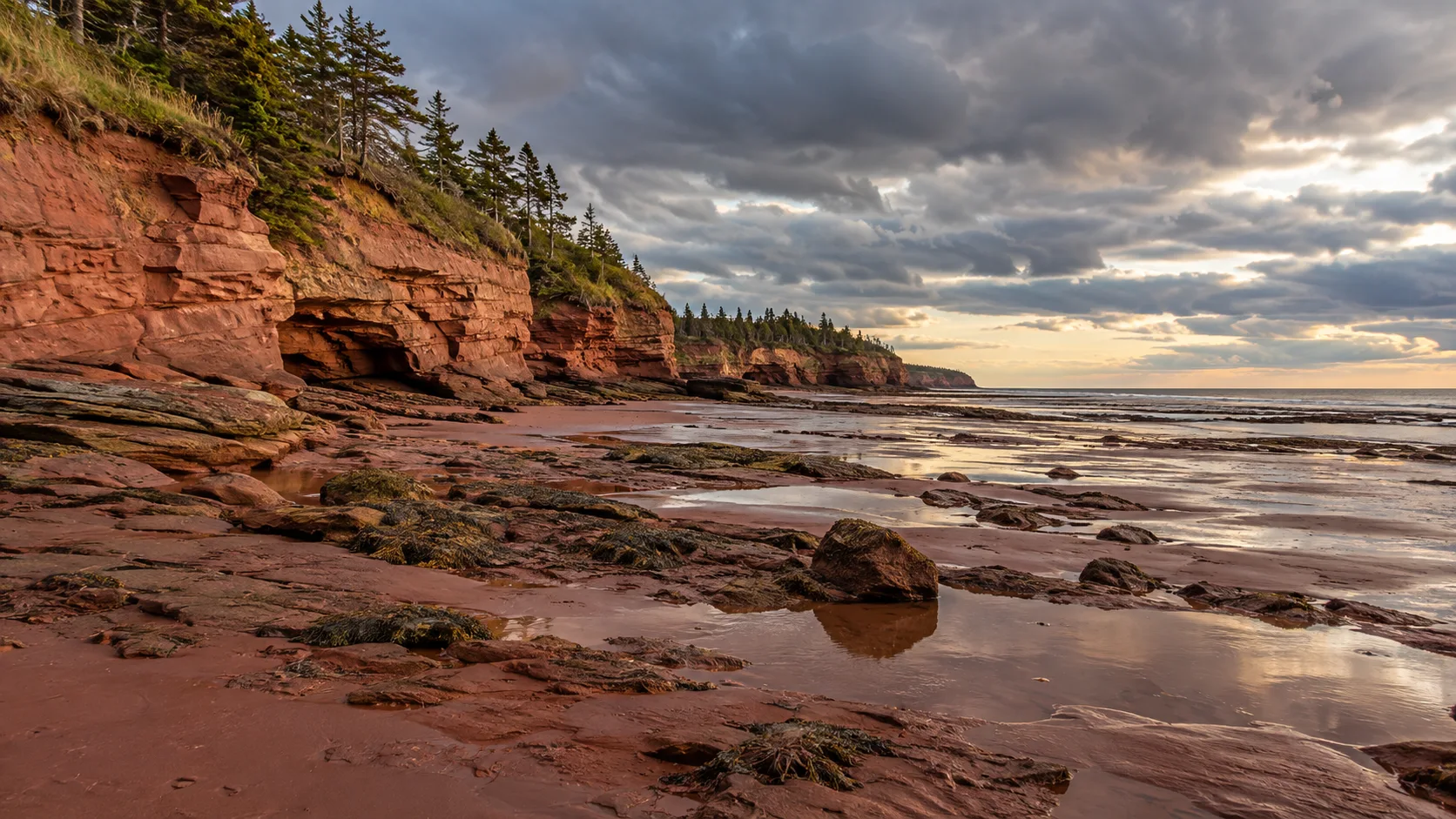 Red sandstone cliffs and tidal pools glow at low tide along Argyle Shore.