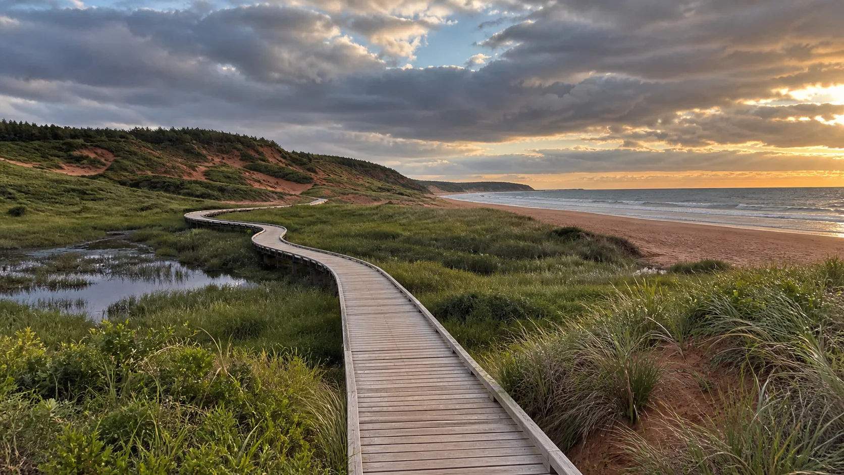 Greenwich's floating boardwalk crosses marsh and dunes toward the beach.