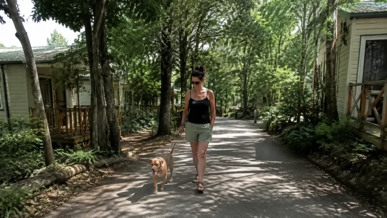 Woman walking a small dog along a shaded path between holiday cabins.