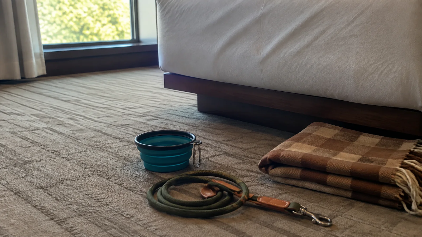 Collapsible pet bowl, leash, and folded blanket on a hotel room carpet.