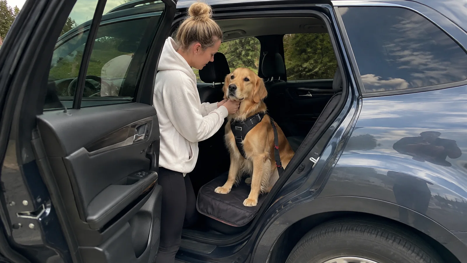 Woman adjusting a golden dog's harness beside an open car door.
