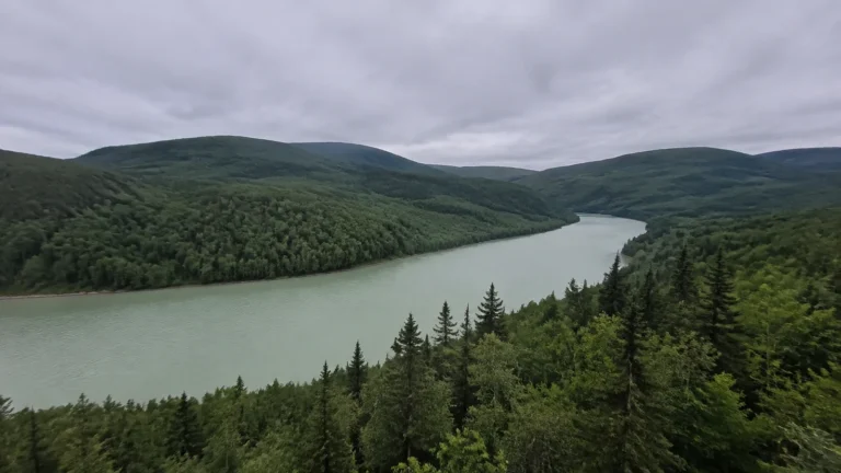 Winding lake surrounded by forested hills beneath an overcast sky.