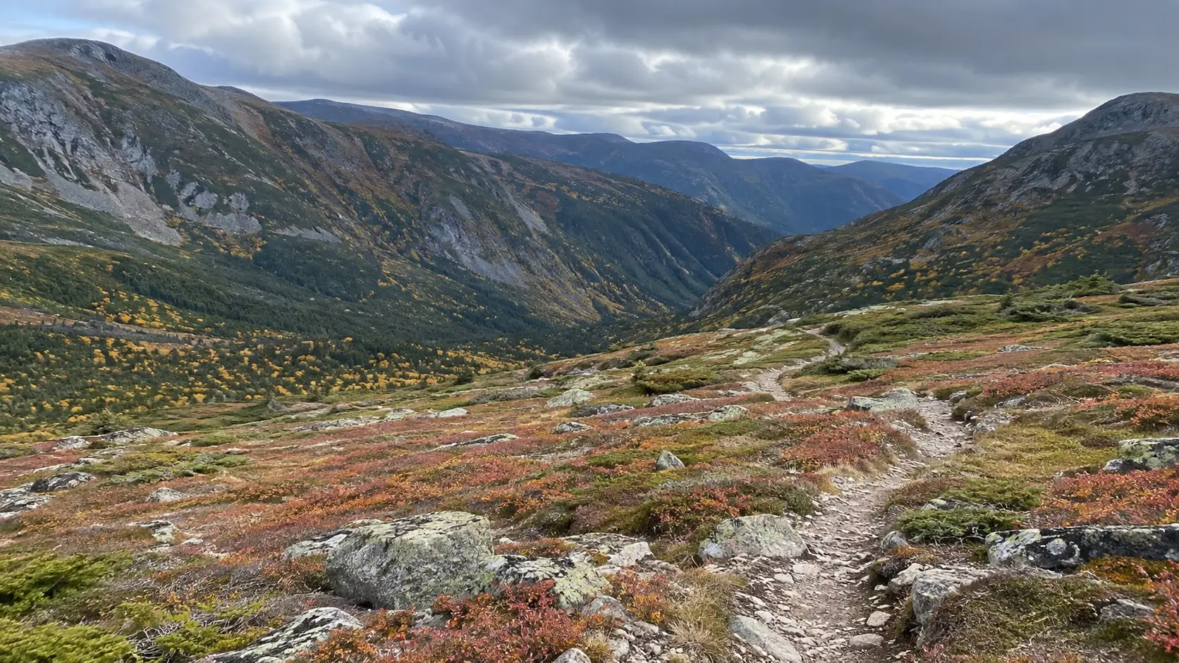 Rugged Chic-Choc Mountains and alpine hiking trail in Gaspésie National Park.