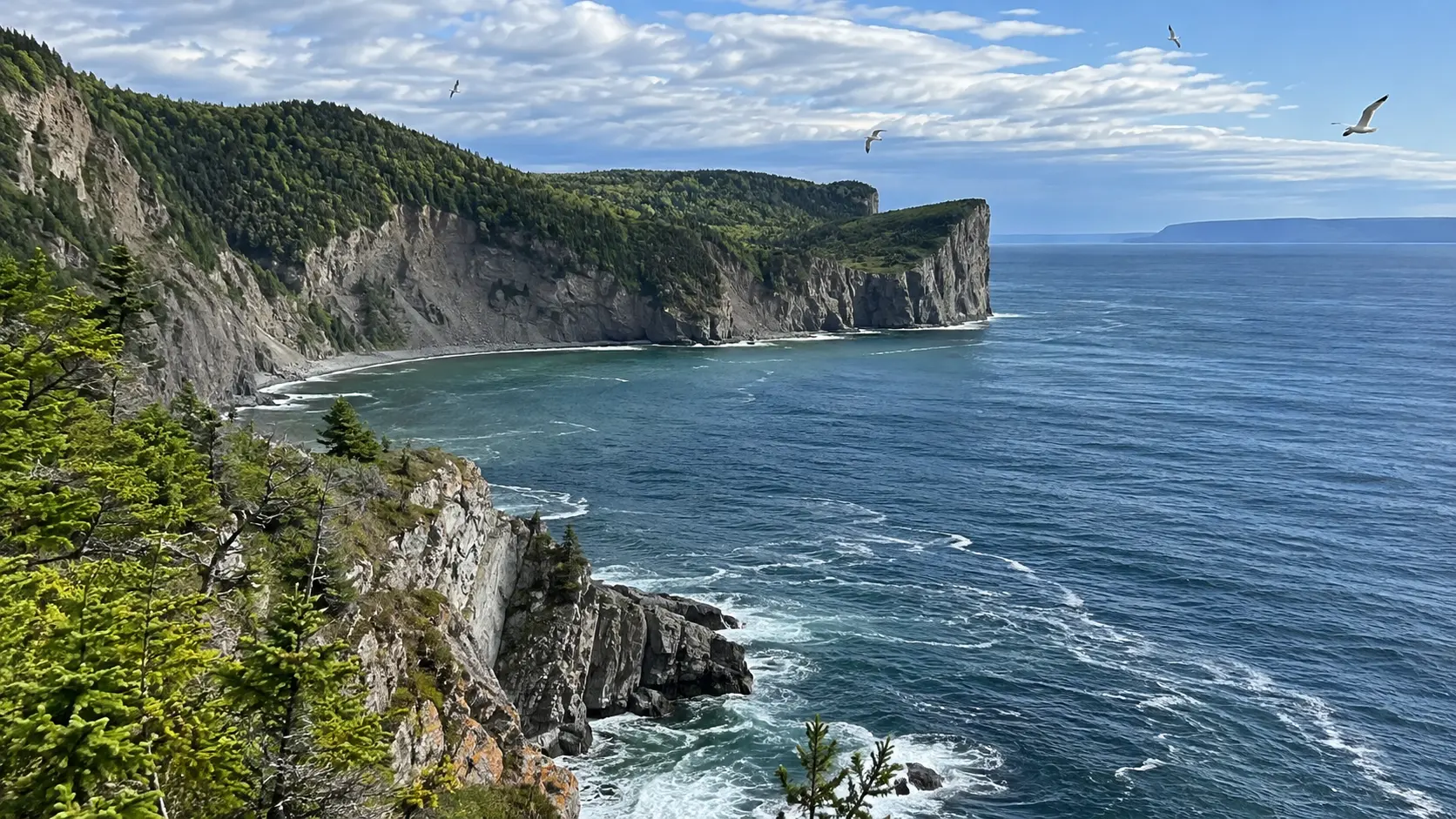 High green cliffs meeting the Gulf of St. Lawrence in Forillon National Park.