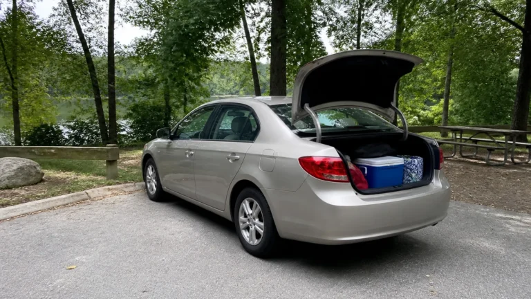 Car with an open trunk and cooler parked at a wooded picnic area.