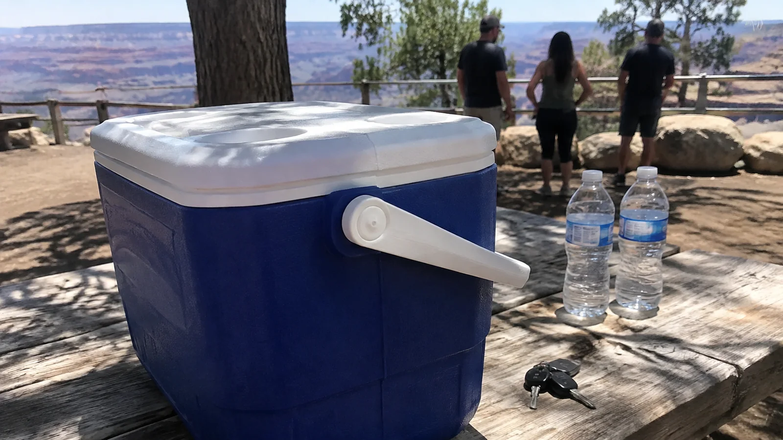 Cooler and water bottles on a picnic table at a scenic roadside stop