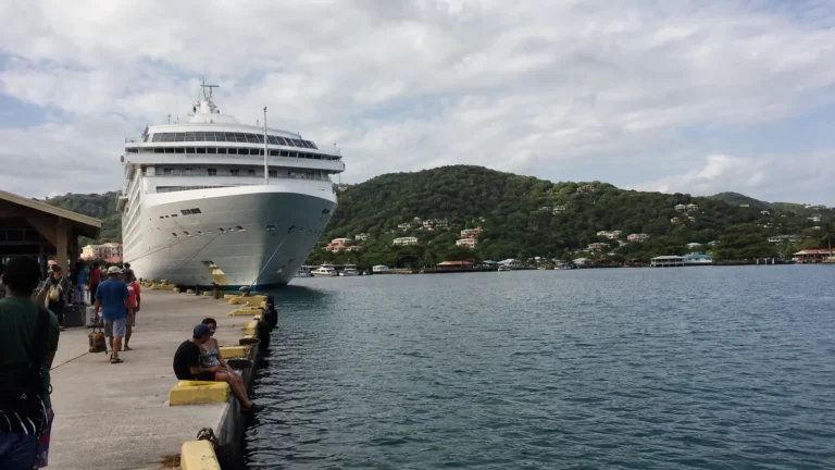 Cruise ship docked beside a tropical harbor and wooded hills.