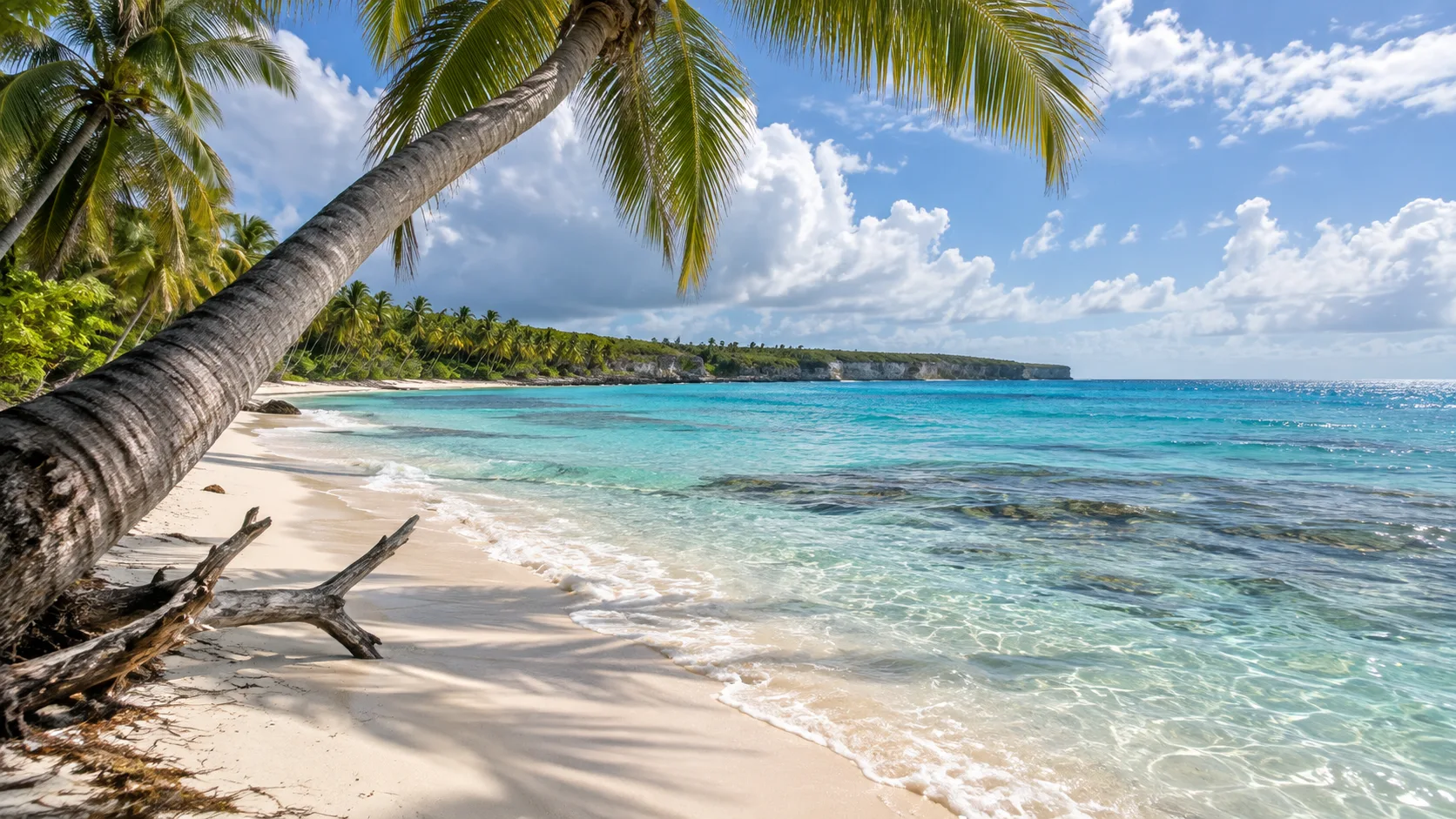 An undeveloped palm-lined beach and clear turquoise water on Saona Island.