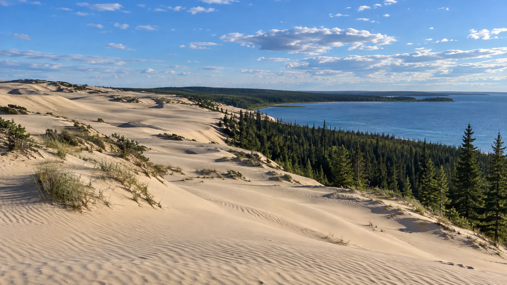 Remote Athabasca sand dunes meeting boreal forest and a northern lake.